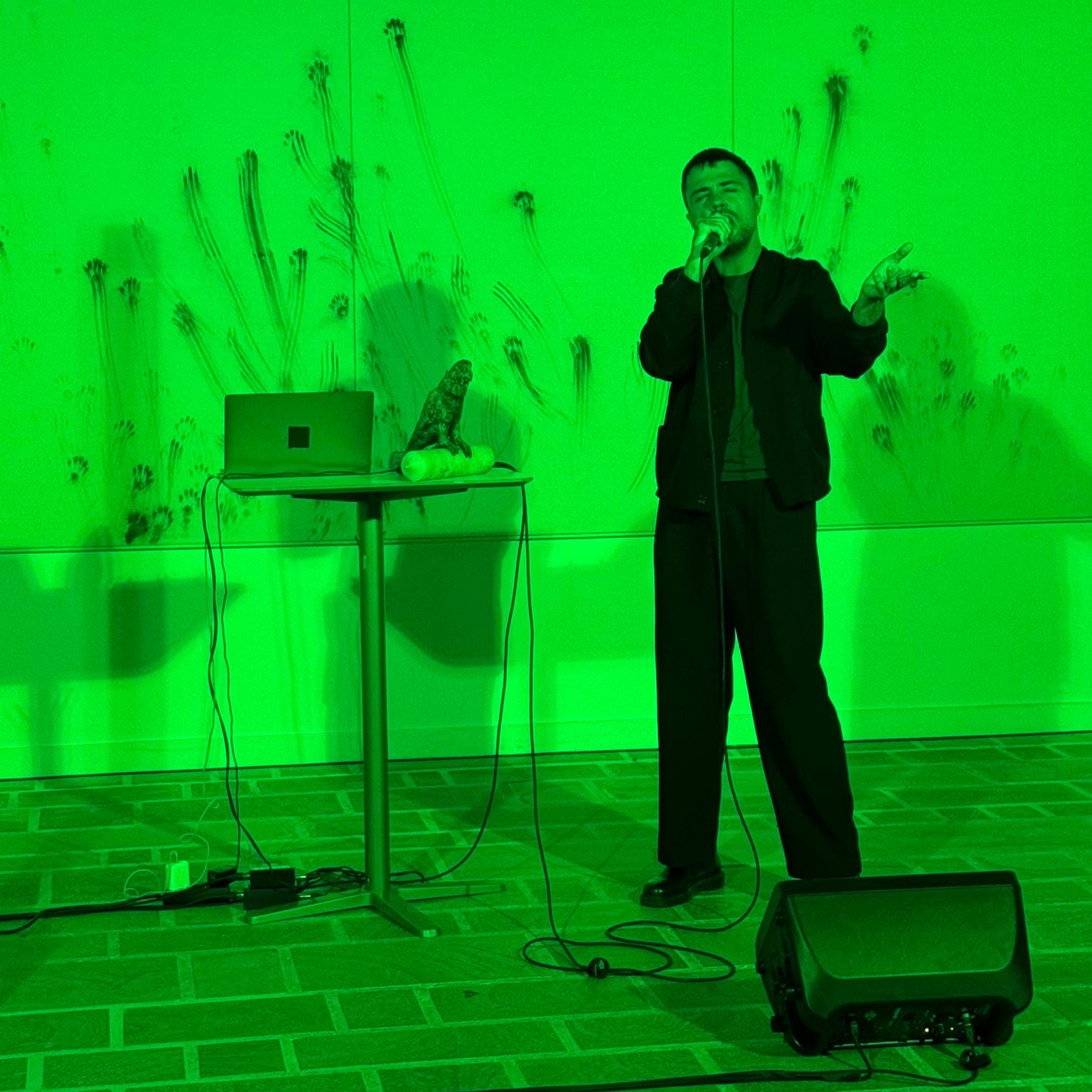 Prolongations / Performance "Le perroquet Vert Vert de Nevers" - Angélique Buisson et Julien Perez - FHEL