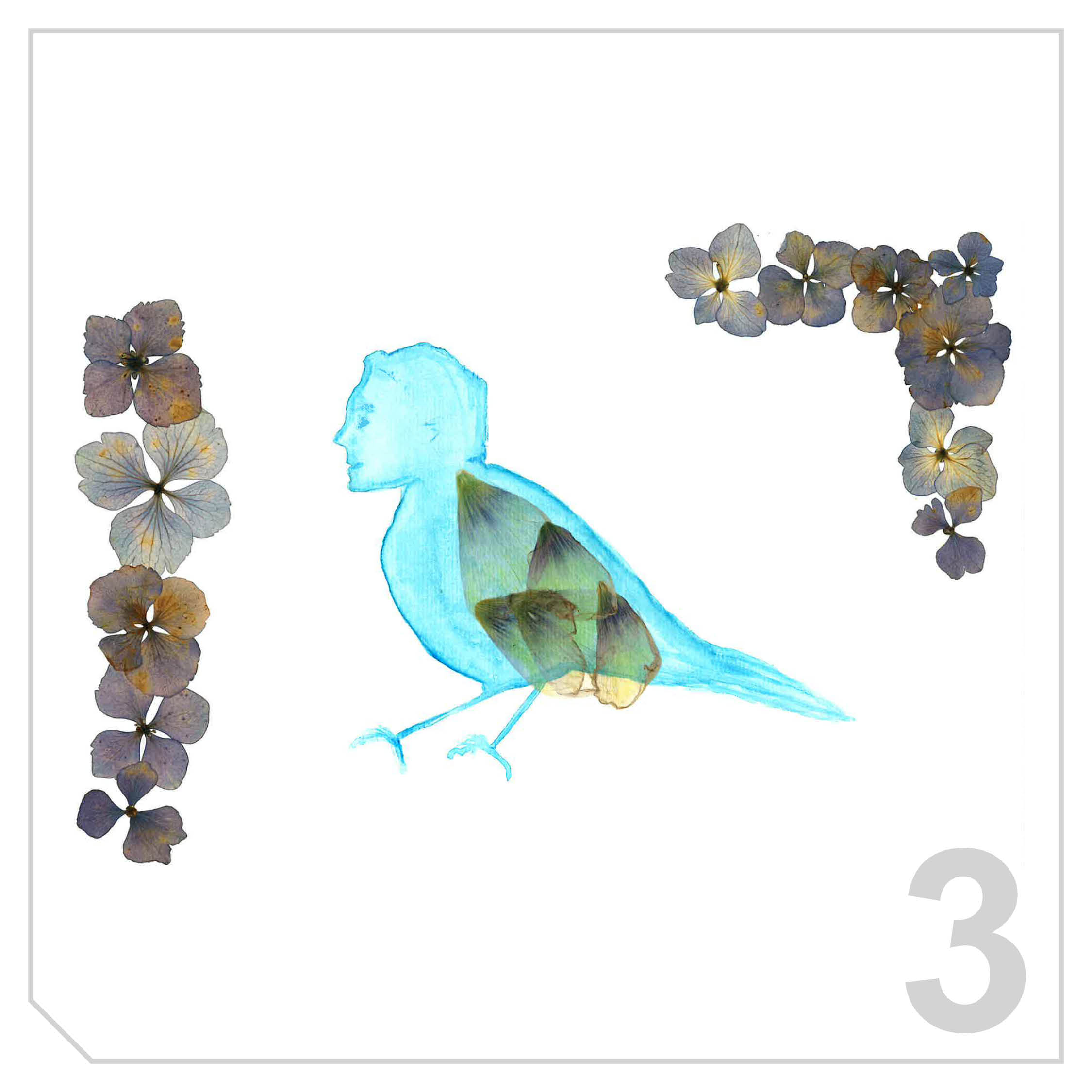 Jeu-concours "Du poil de la bête" - Fonds Hélène et Édouard Leclerc à Landerneau. "Animal!?" 2025.