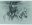 Trilogie Coup de sang, Animal’z, 2009. Crayon gras sur papier teinté, rehauts de pastels. 29.5x 42.1 cm. Collection particulière, MEL Courtesy, © FHEL, 2020