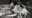 HCB CopyrrFondationHenriCartierBresson MagnumPhotos MexicoMexique low.jpg