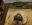 le petit jaunais 2 v2.jpg