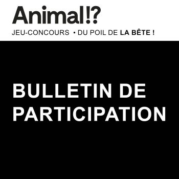 Bulletin de participation