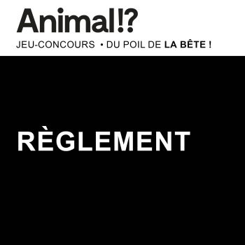 Règlement du concours