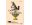 Affiche Cabinets Curiosités Page titre catalogue de la collection du médecin Valentini, Frankfort, 1714 © Bnf (détail) _Poire à parfums, France, v 1775-1799, © RMM Rouen © FHEL 2019