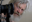 © Two Brothers Pictures / photography Orbital Strangers Project